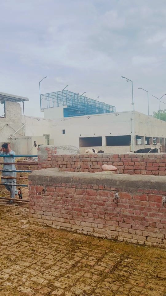 TikTok video thumbnail by ch_mudasar_gondal