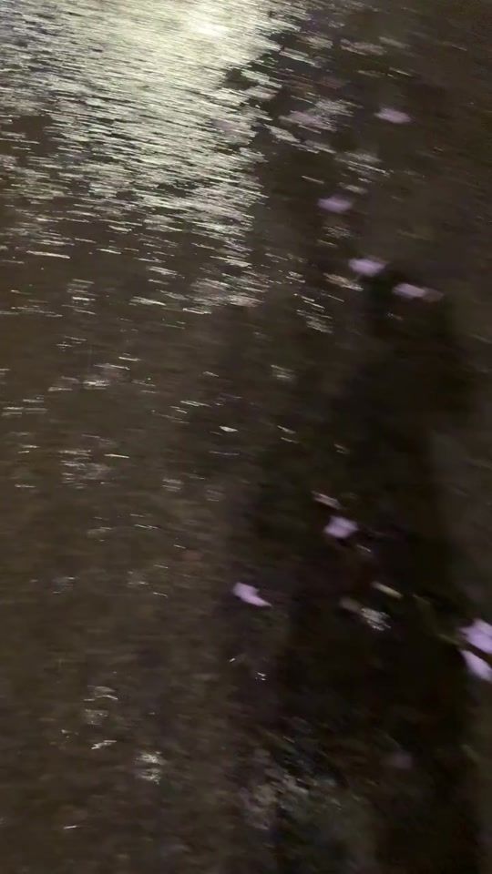 TikTok video thumbnail by lathmorphy