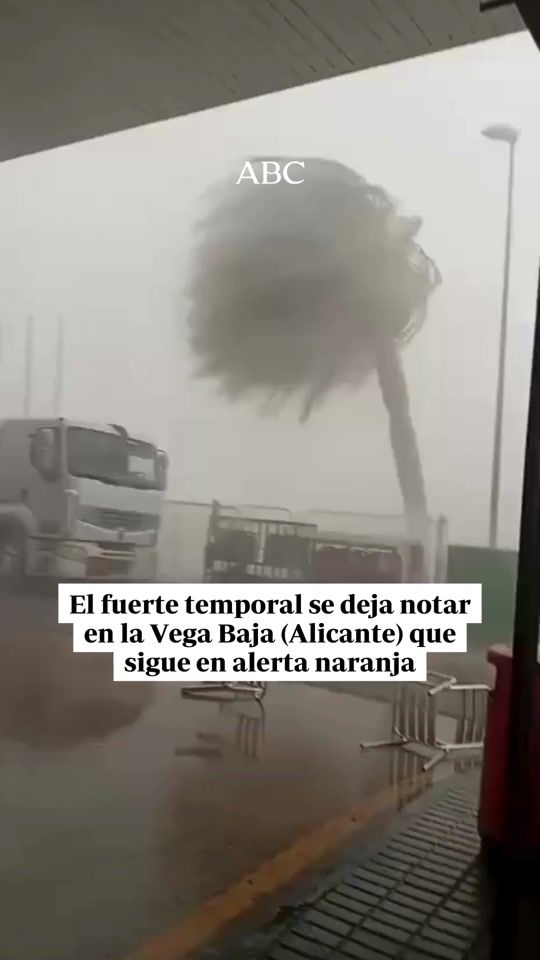 TikTok video thumbnail by abc.es
