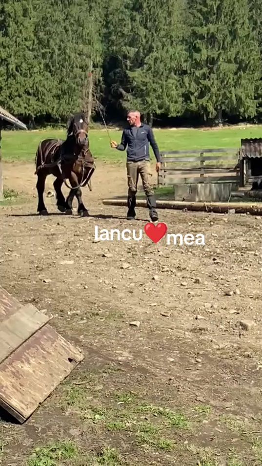 TikTok video thumbnail by levente.tusa