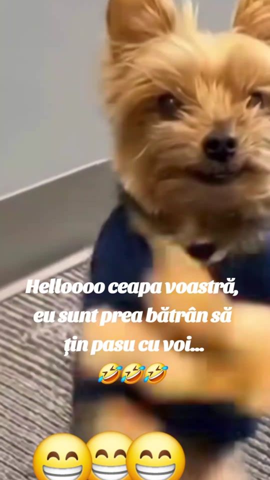 TikTok video thumbnail by ionutfoamete