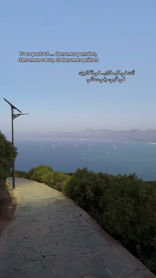 TikTok video thumbnail by lmzn_213