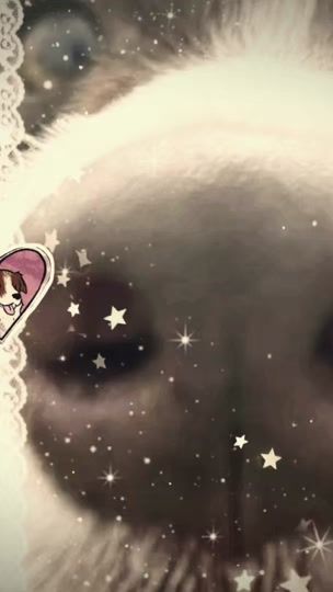 TikTok video thumbnail by userheartstopper