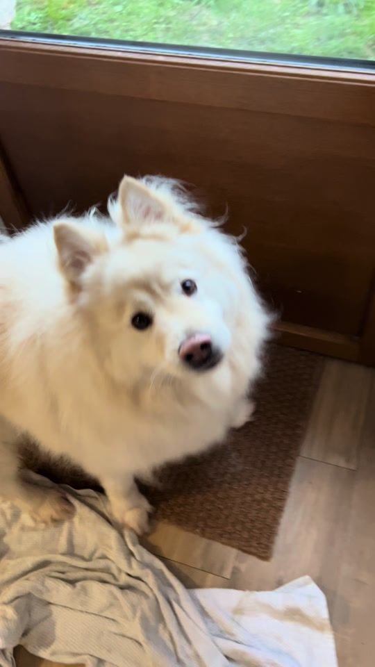 TikTok video thumbnail by doomslavraie