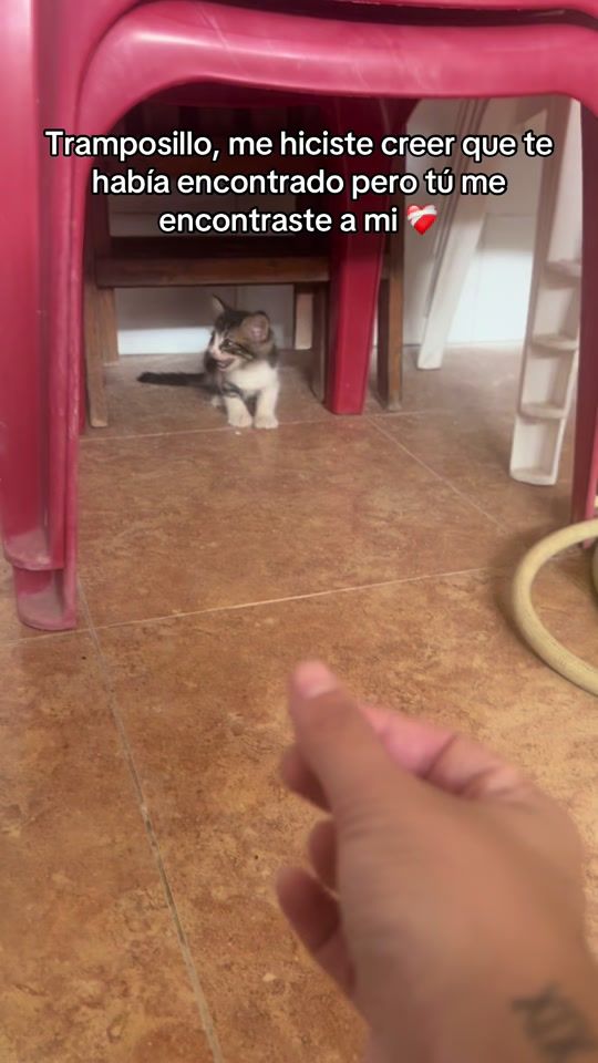 TikTok video thumbnail by lorenamgg