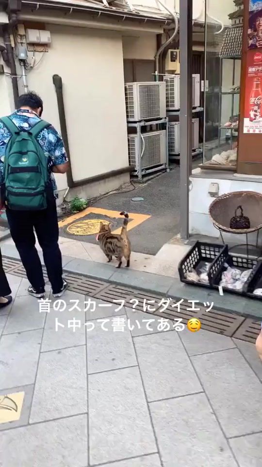 TikTok video thumbnail by nudo.official