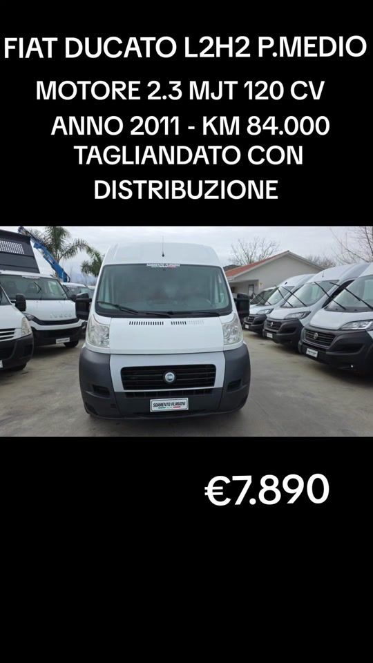 TikTok video thumbnail by sorrentofurgoni