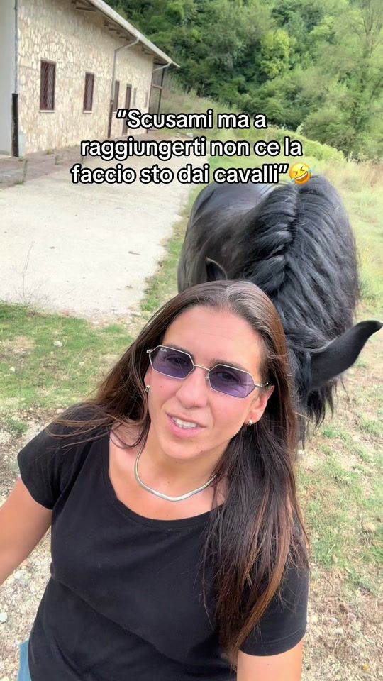 TikTok video thumbnail by black_the_friesian
