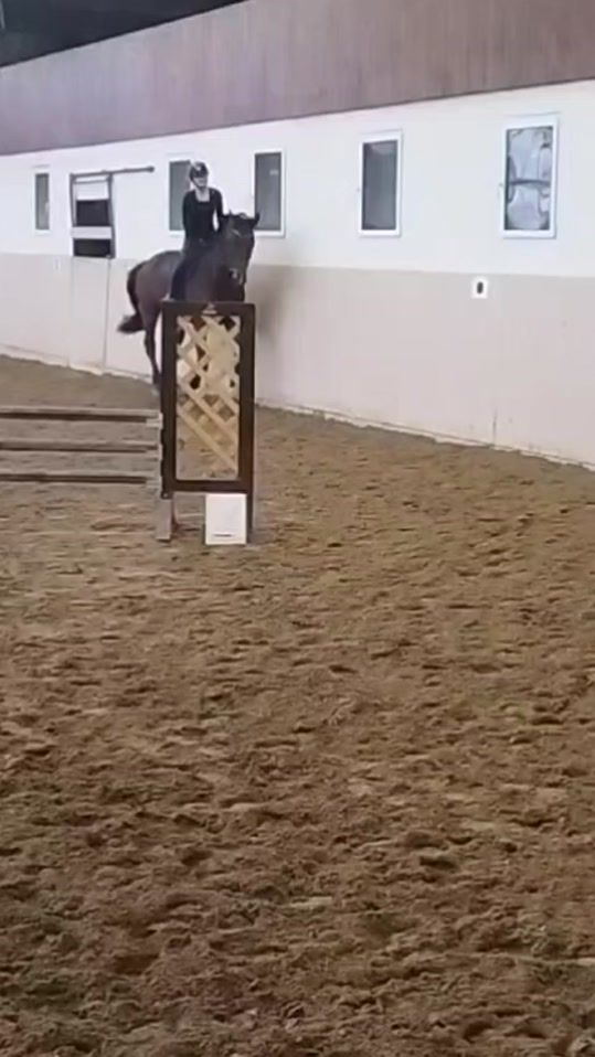 TikTok video thumbnail by snowi.dani