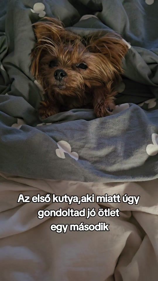 TikTok video thumbnail by masni.igor