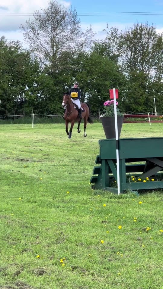 TikTok video thumbnail by eventing.thilde