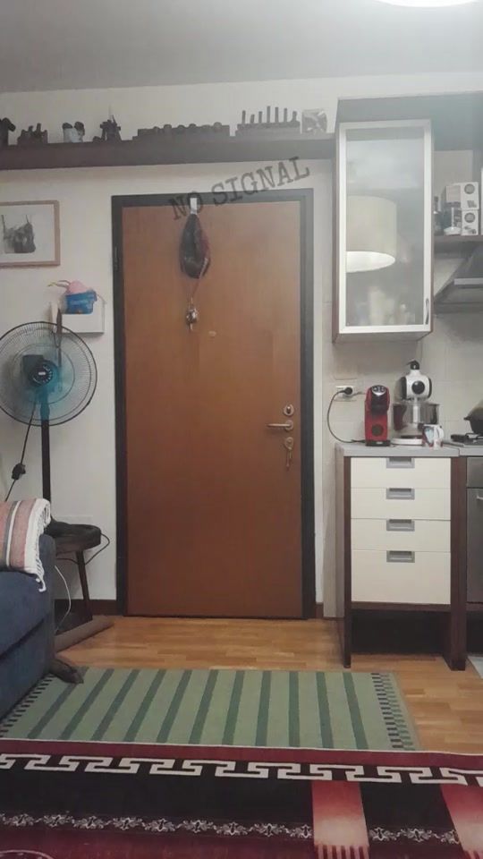 TikTok video thumbnail by laila29396