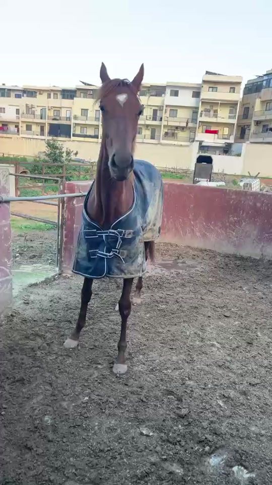 TikTok video thumbnail by ryantalmuruwa123