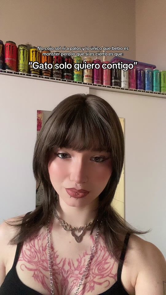 TikTok video thumbnail by punk.doberman