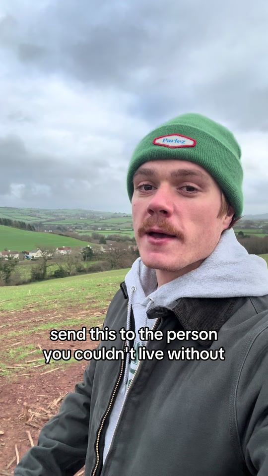 TikTok video thumbnail by thetorsband