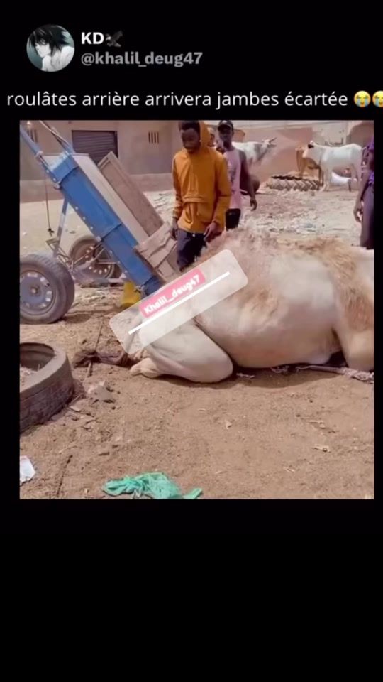 TikTok video thumbnail by djibril_kc
