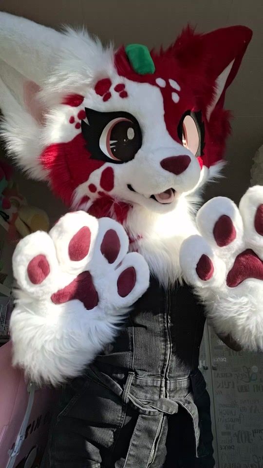 TikTok video thumbnail by dancing_furry