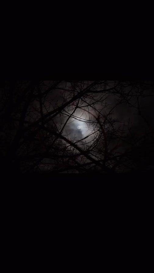 TikTok video thumbnail by zena_su