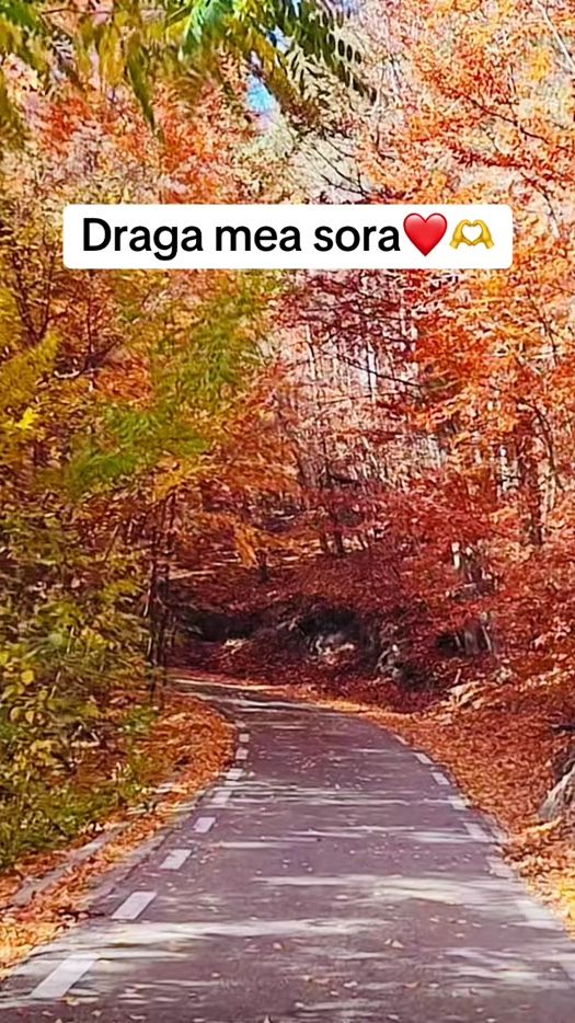TikTok video thumbnail by vivalavita02