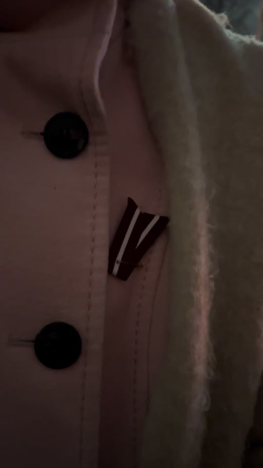TikTok video thumbnail by luize.johanna