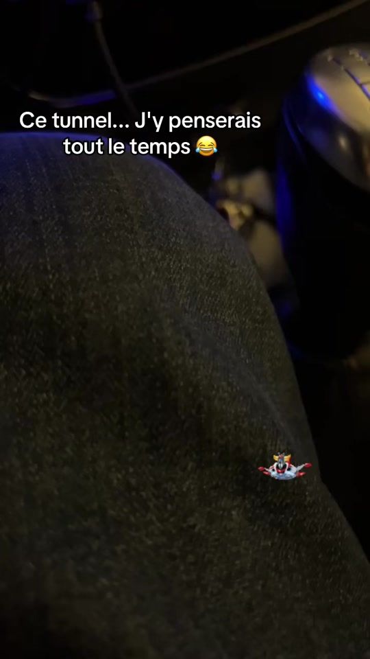 TikTok video thumbnail by natureetgeekerie