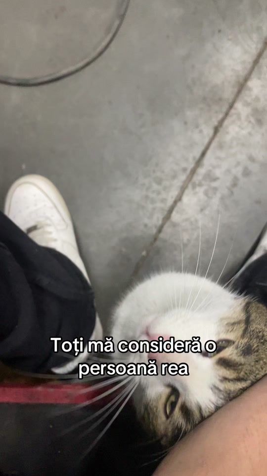 TikTok video thumbnail by filip.ivan56