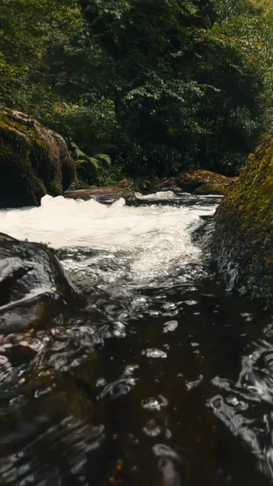 TikTok video thumbnail by thewanderingpaddy