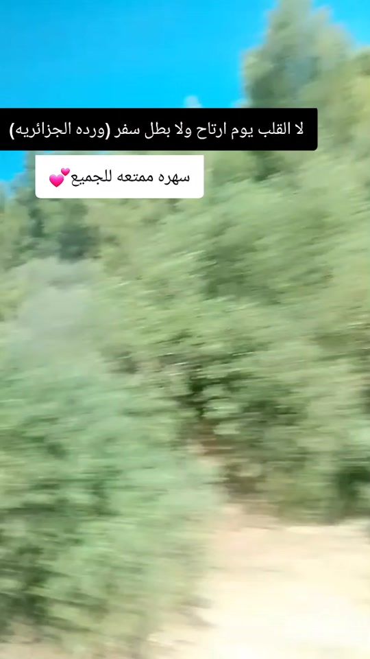 TikTok video thumbnail by ibee54965