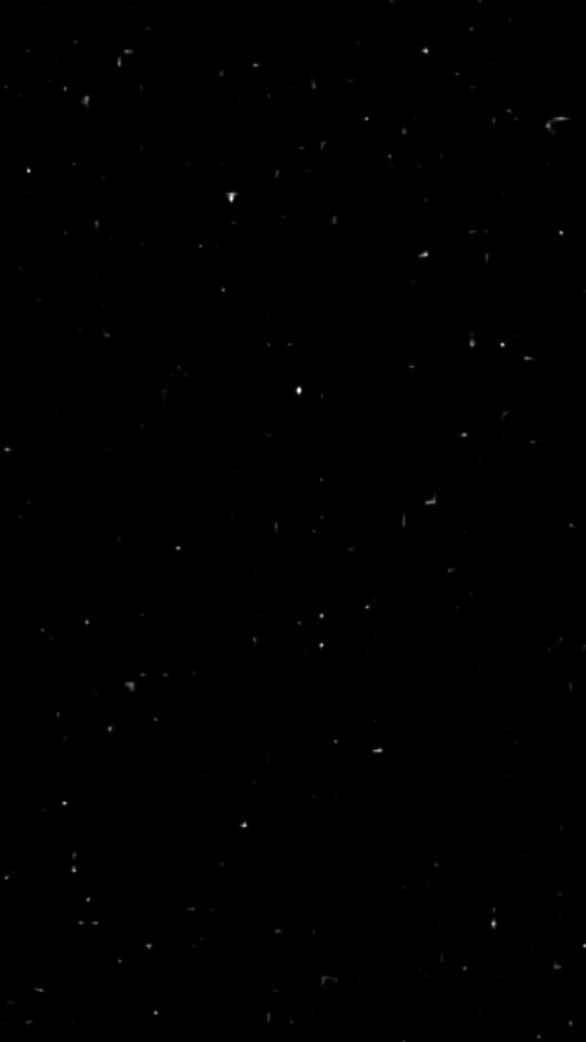 TikTok video thumbnail by lyrics.romaniann