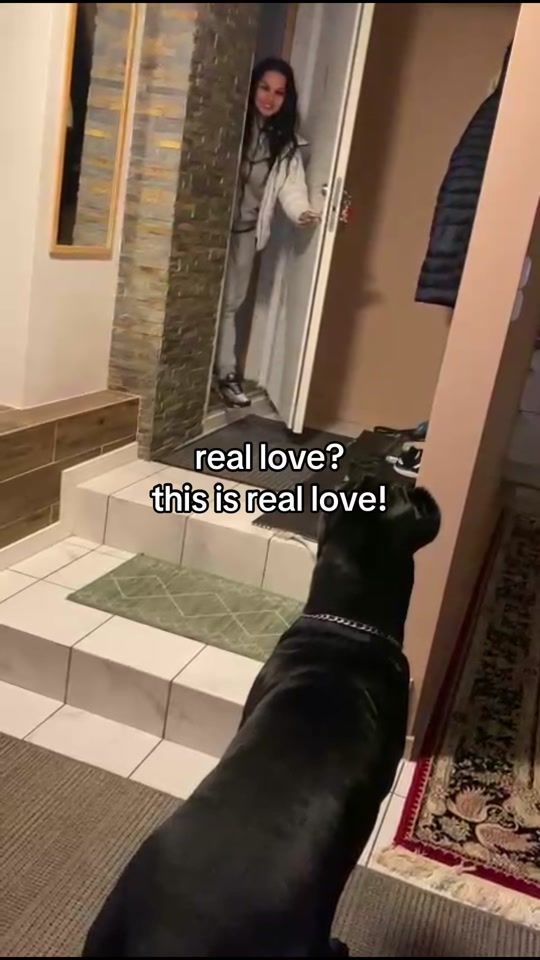 TikTok video thumbnail by alishaa.rls
