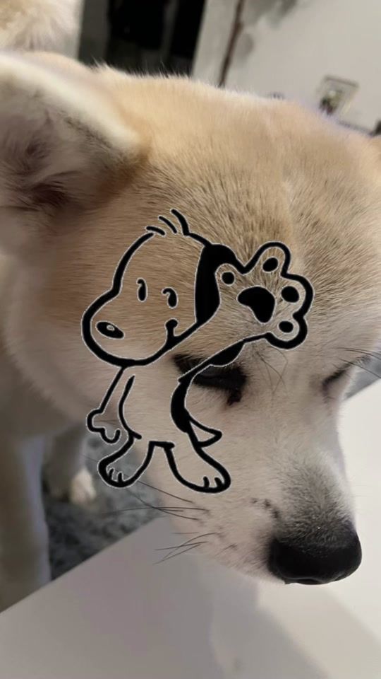 TikTok video thumbnail by hlne.levant