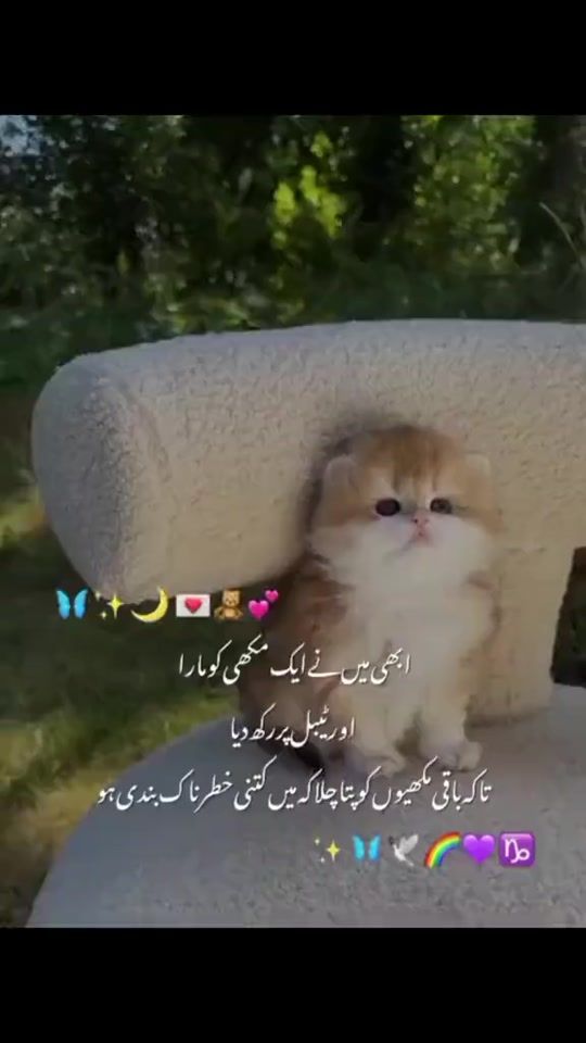 TikTok video thumbnail by alonekinzoo