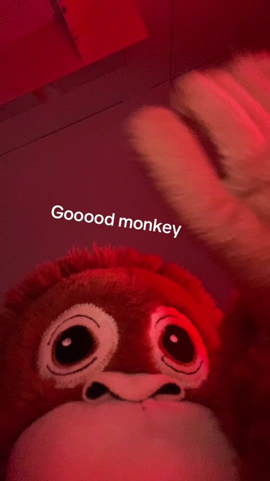 TikTok video thumbnail by itsmikomonkey