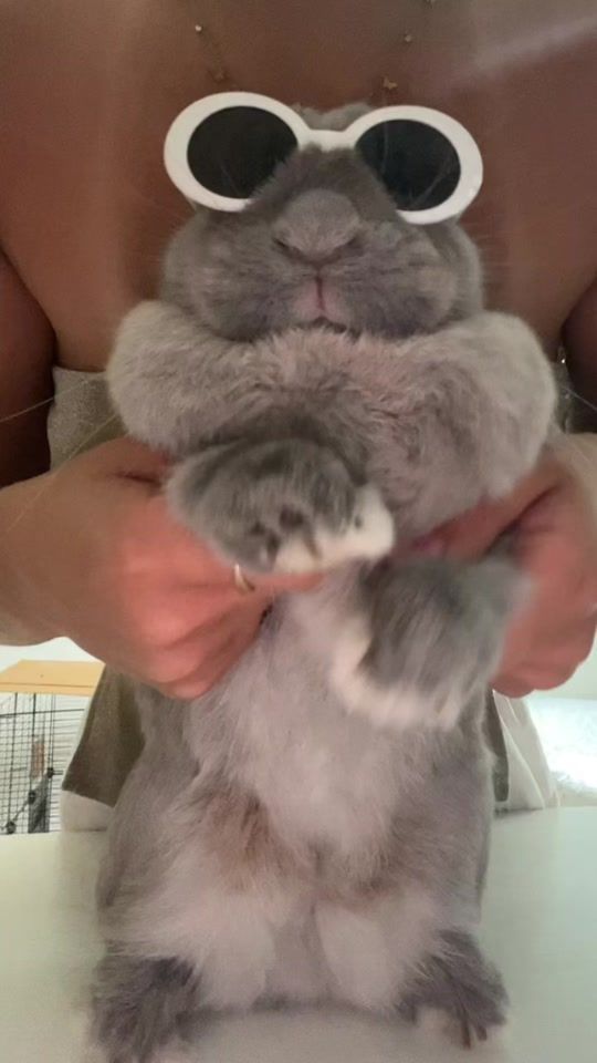 TikTok video thumbnail by pantoufle.lapin