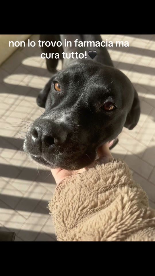 TikTok video thumbnail by giuli.aliperti