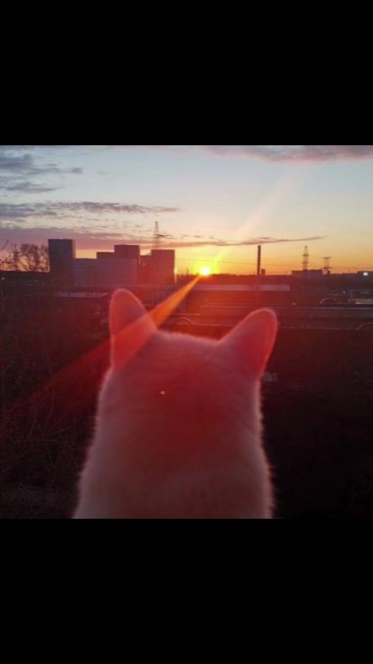TikTok video thumbnail by aimxzxz