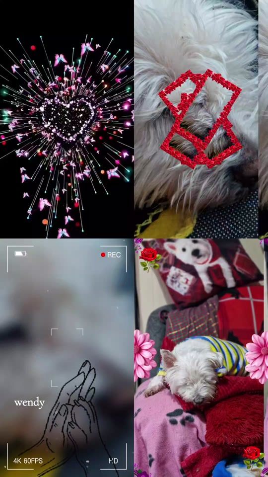 TikTok video thumbnail by billy..1