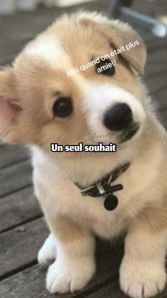 TikTok video thumbnail by louann449