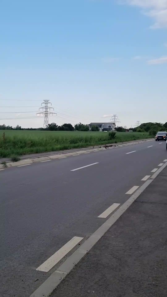 TikTok video thumbnail by devils__cars