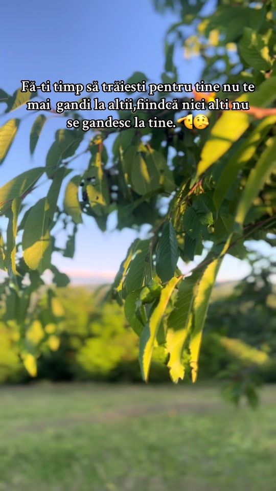 TikTok video thumbnail by cristi_x_nistor