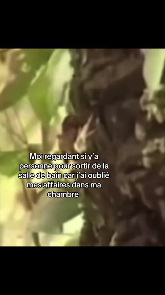 TikTok video thumbnail by alerte.infos2