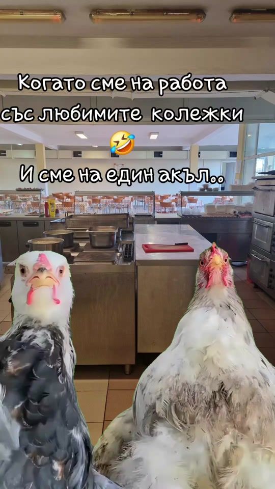 TikTok video thumbnail by kotetobe