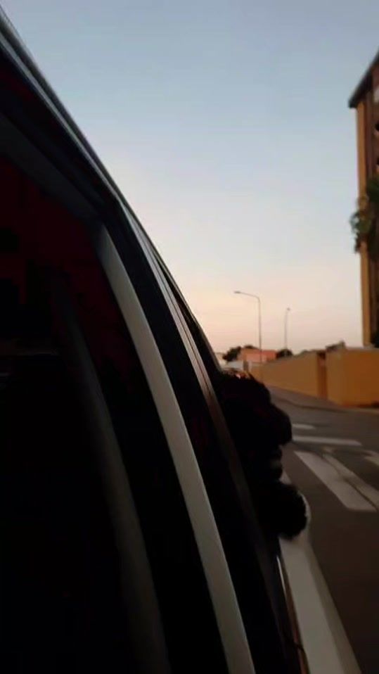 TikTok video thumbnail by jjsierra75