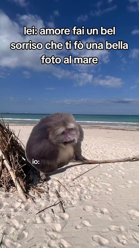 TikTok video thumbnail by a.fabio83