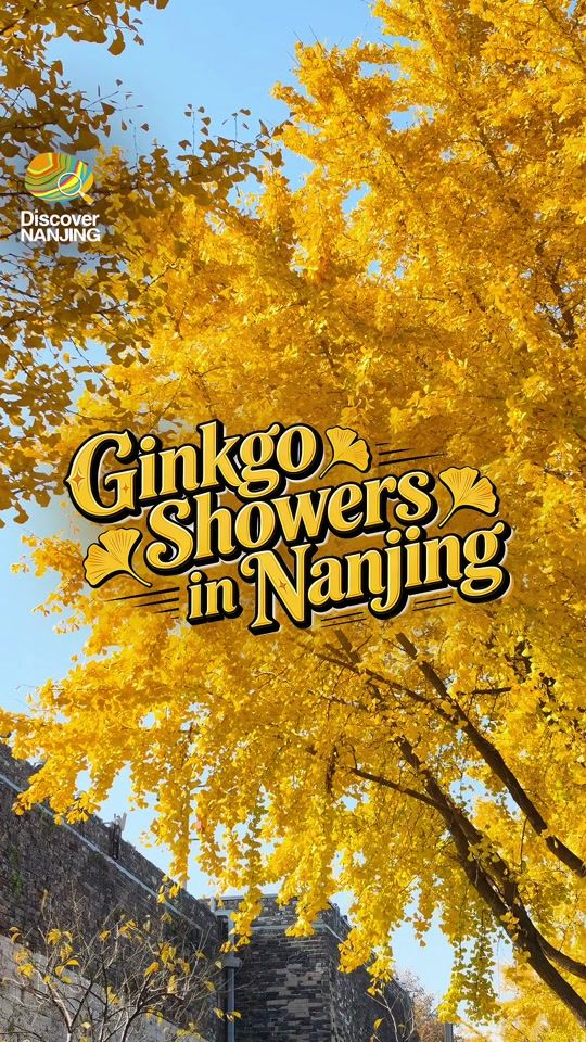 TikTok video thumbnail by discovernanjing