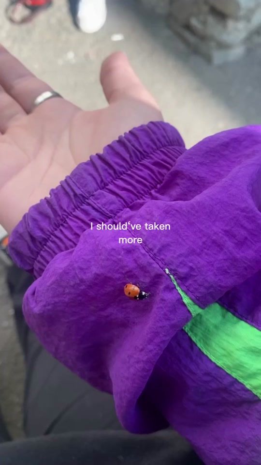 TikTok video thumbnail by whosmaish