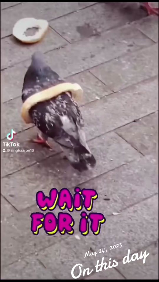 TikTok video thumbnail by singhaaron13