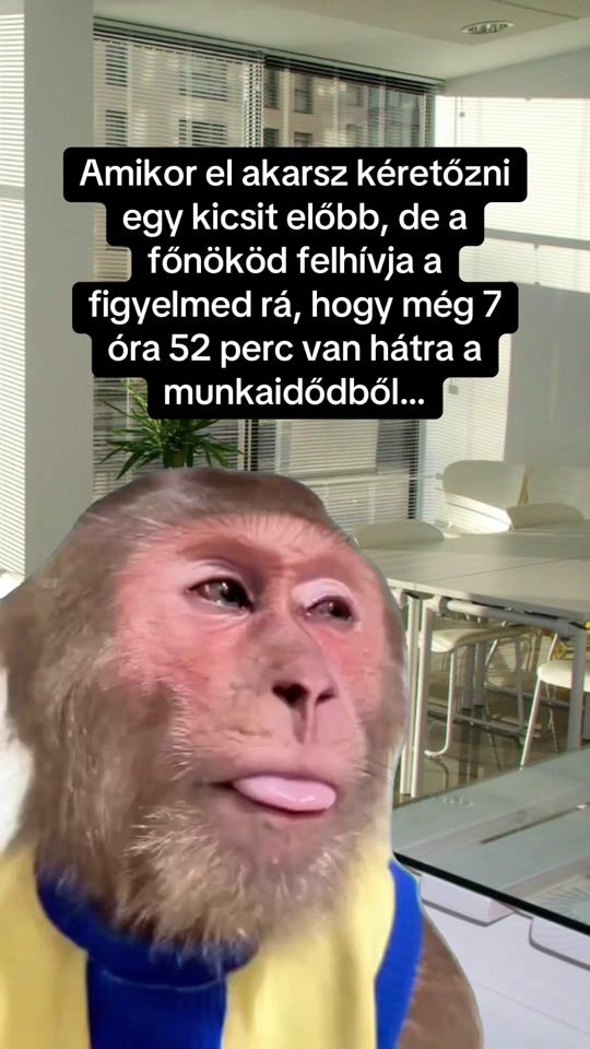 TikTok video thumbnail by alljmunkaba.hu