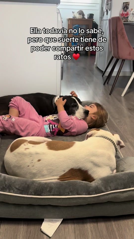 TikTok video thumbnail by 2pitsymedio_