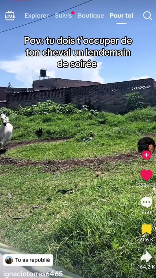 TikTok video thumbnail by tvanlaura